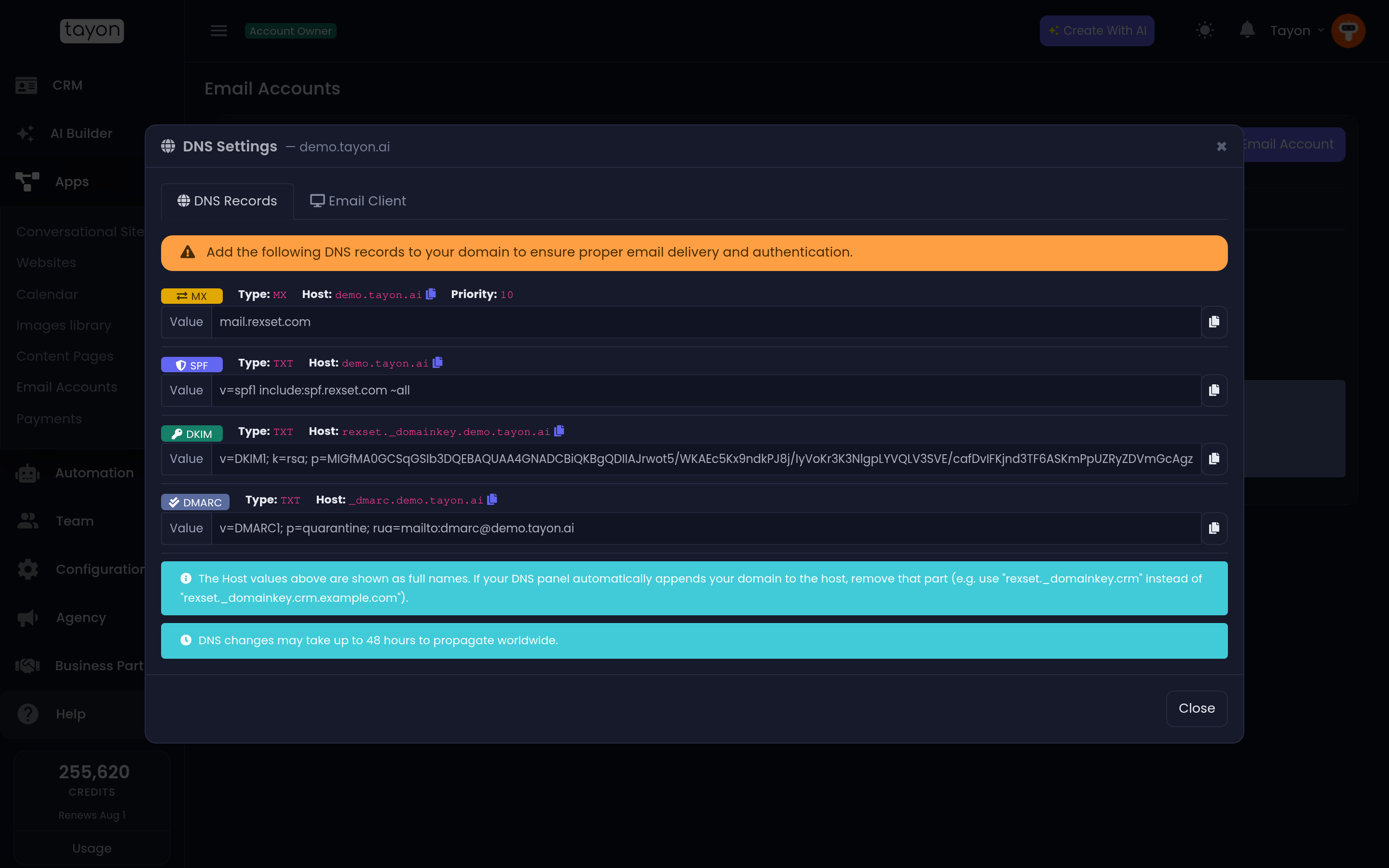 The DNS Settings panel, with the records to copy